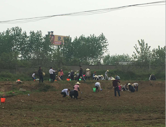 哈希游戏(中国游)官方网站