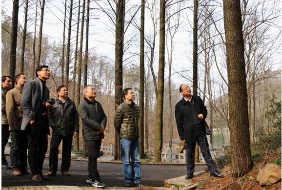 哈希游戏(中国游)官方网站