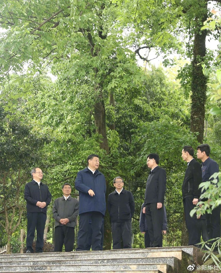 哈希游戏(中国游)官方网站