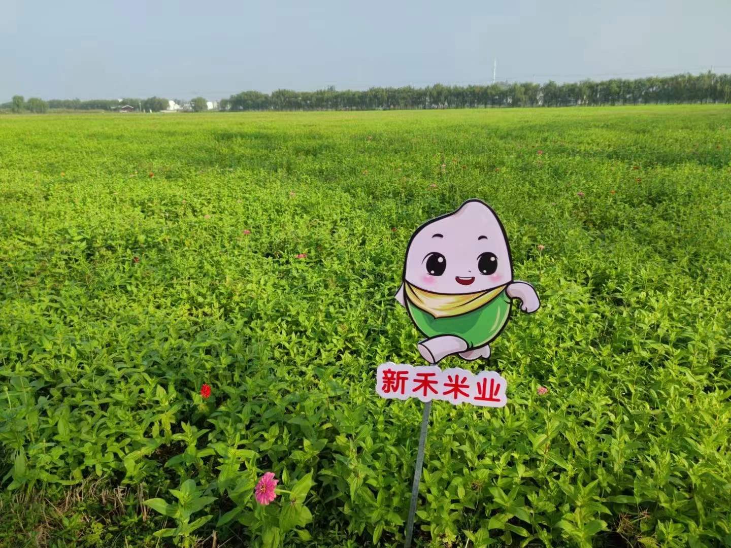哈希游戏(中国游)官方网站